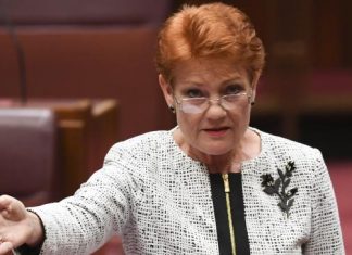 Company tax cuts legislation prospects diminishes after One Nation assail