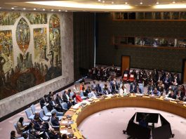 UN Security Council Backs Moroccan Plan for Western Sahara in ‘Historic’ Vote