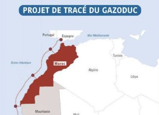 ECOWAS joins $25bn Africa Atlantic Gas Pipeline as project moves towards investment phase